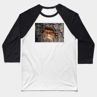 Pine Tree Sap Baseball T-Shirt